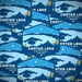 Crater Lake National Park Sticker | Patchmarks Oregon State Parks